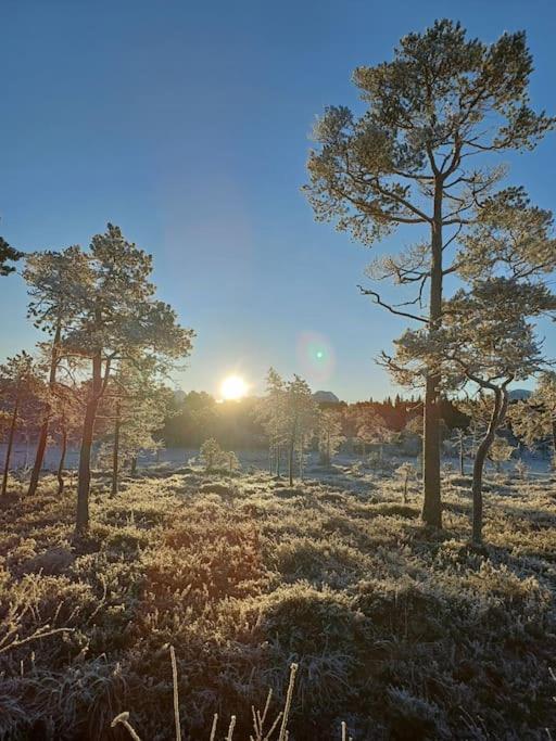 Koselig Og Moderne Leilighet, Meget Sentralt I Narvik Med Gratis Parkering! Extérieur photo
