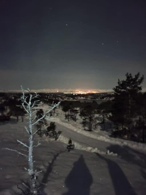 Koselig Og Moderne Leilighet, Meget Sentralt I Narvik Med Gratis Parkering! Extérieur photo