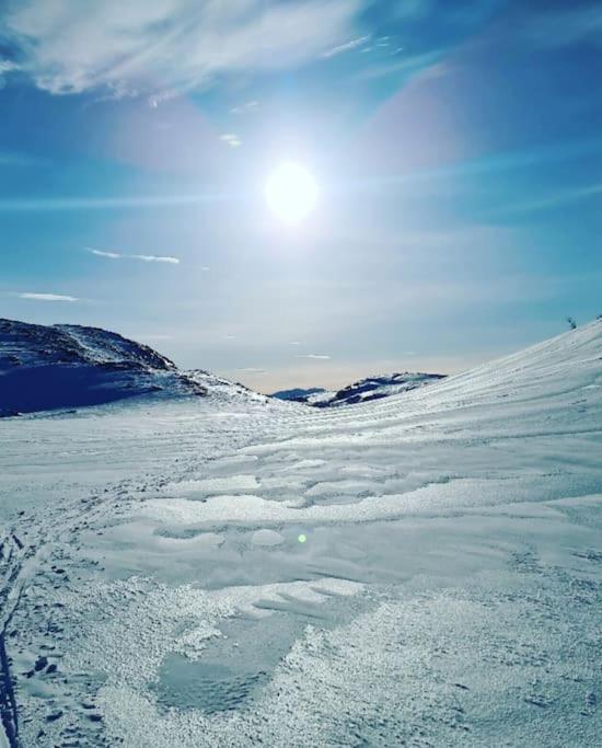 Koselig Og Moderne Leilighet, Meget Sentralt I Narvik Med Gratis Parkering! Extérieur photo