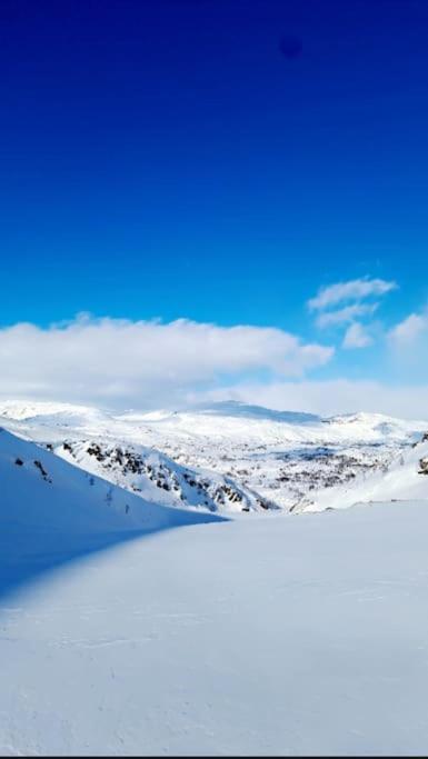 Koselig Og Moderne Leilighet, Meget Sentralt I Narvik Med Gratis Parkering! Extérieur photo