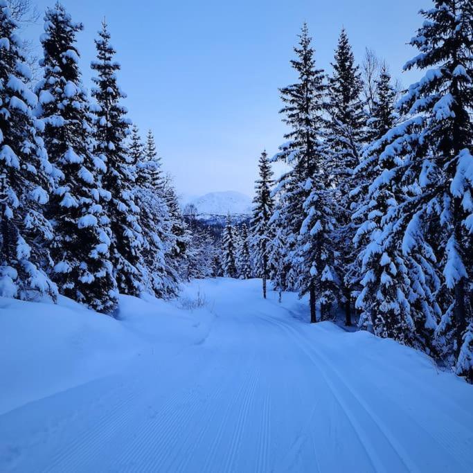 Koselig Og Moderne Leilighet, Meget Sentralt I Narvik Med Gratis Parkering! Extérieur photo
